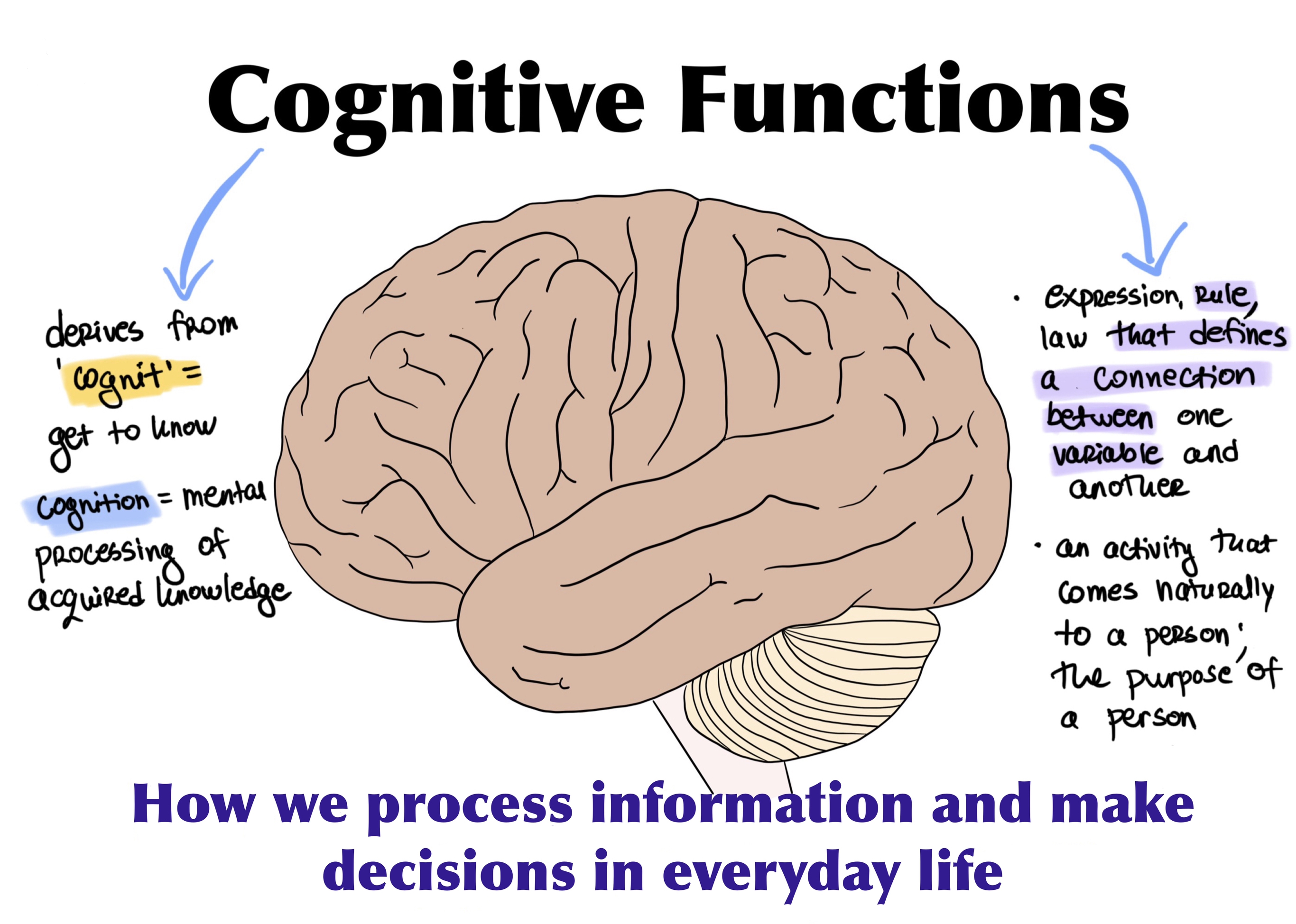 Cognitive Functions