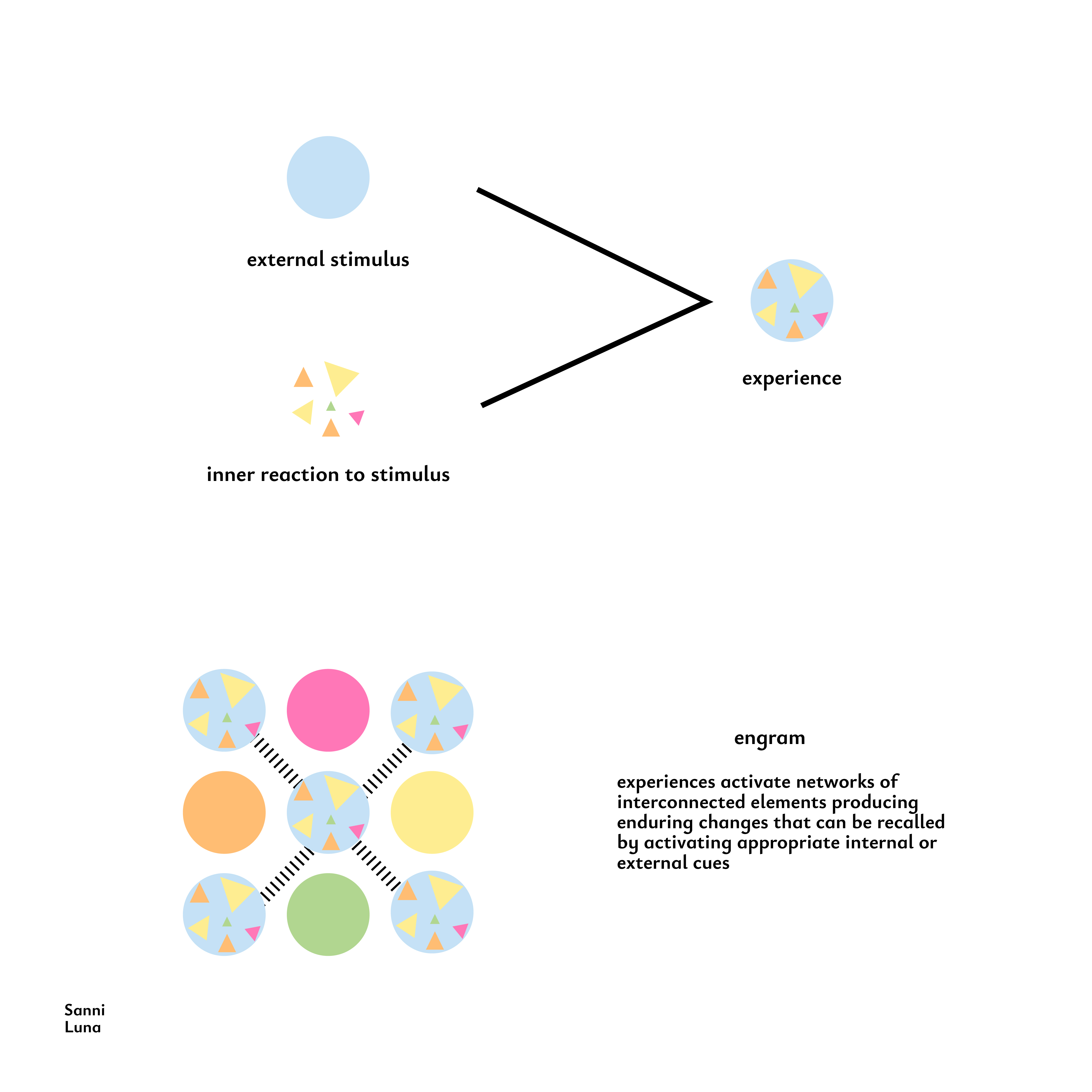 External stimulus, Internal Reaction, Experience and Engram